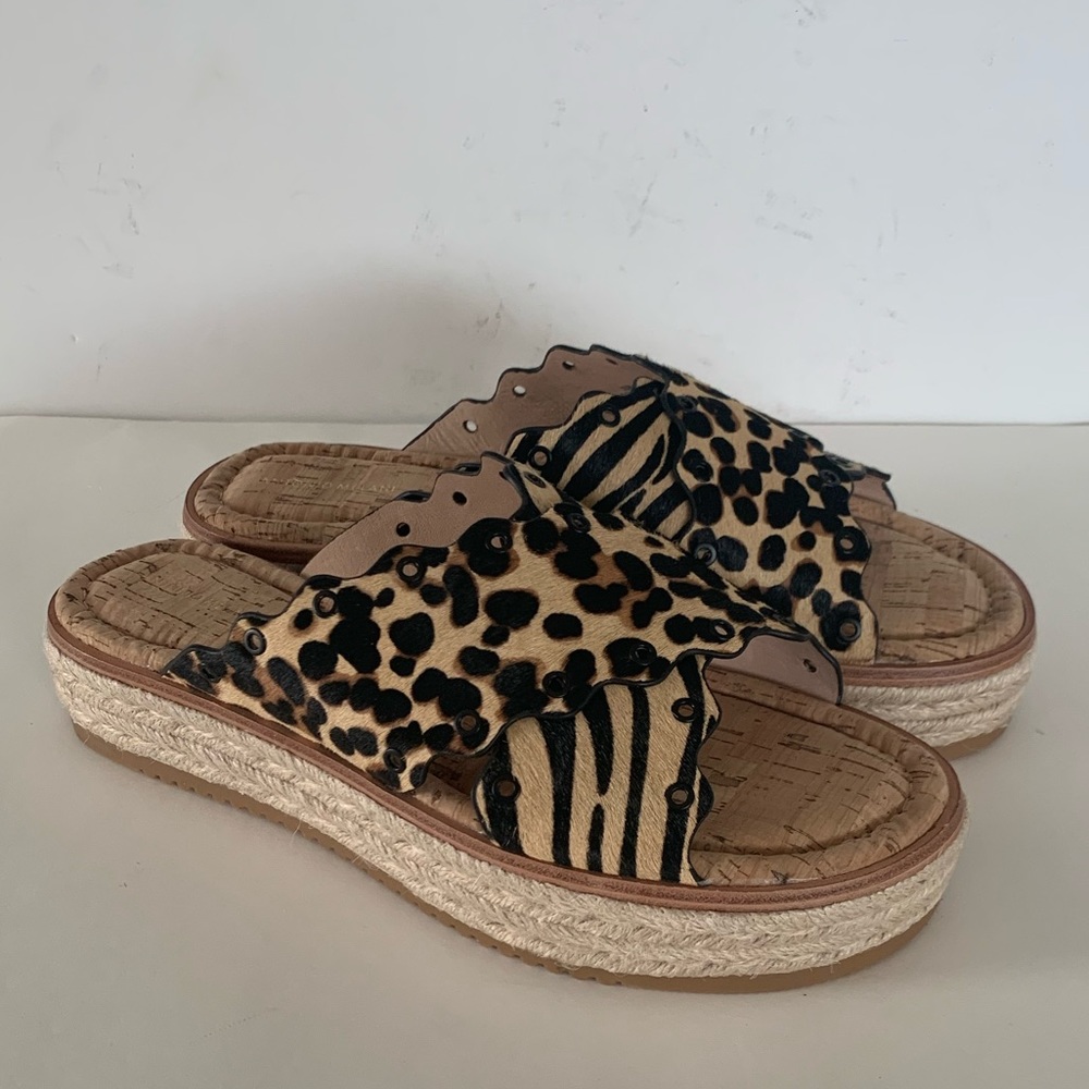 Antonio Melani Lerris Lepard and Zebra Hair half